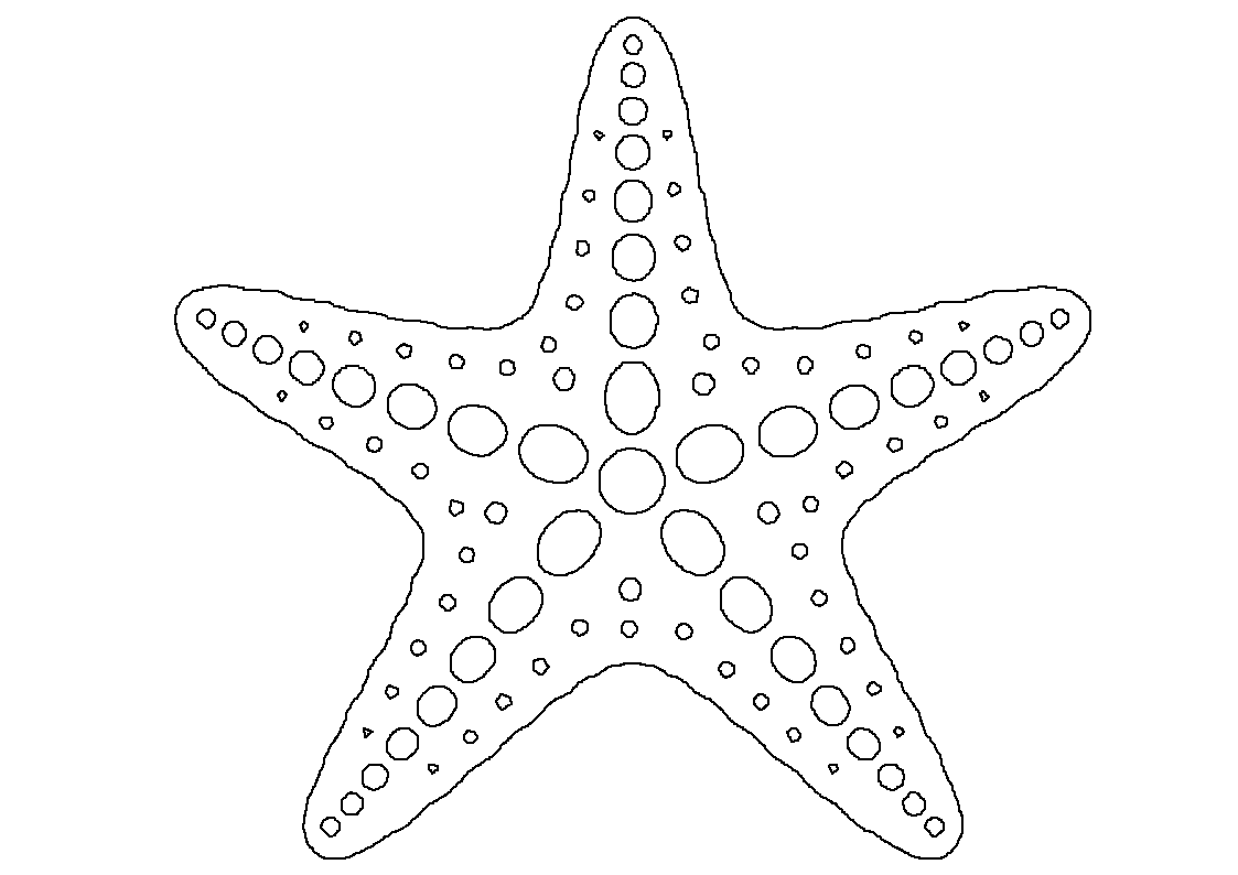 Morska zvezda